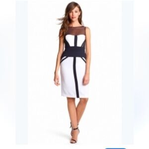 Cache Black & White Color block Body Con Sexy Chic Sheer Mesh Upper Size 14